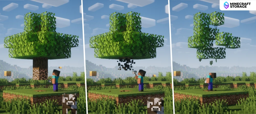 Descomposición Rápida de Hojas