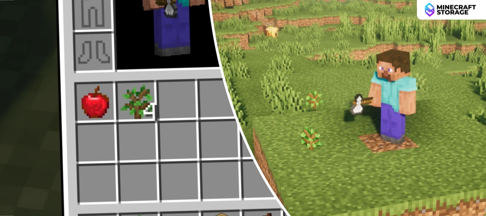 Se Conservan las Caídas