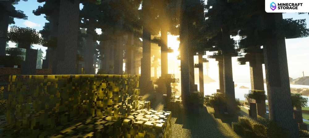 Path Traced Lighting