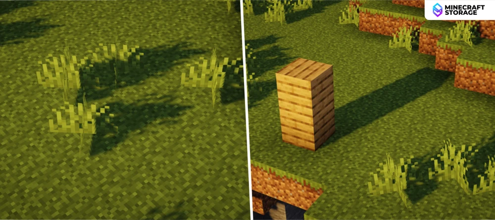 Shadow Quality