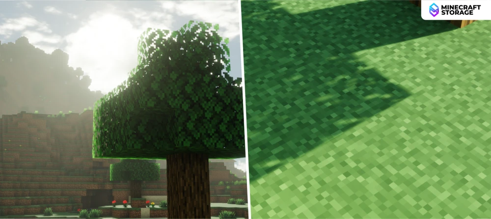 Shadow Quality