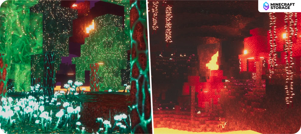 Warped/Crimson Forest