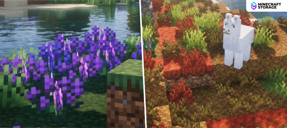 New Flowers and Plants