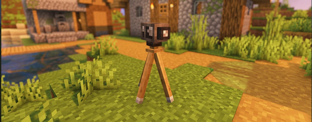 Camera on Tripod