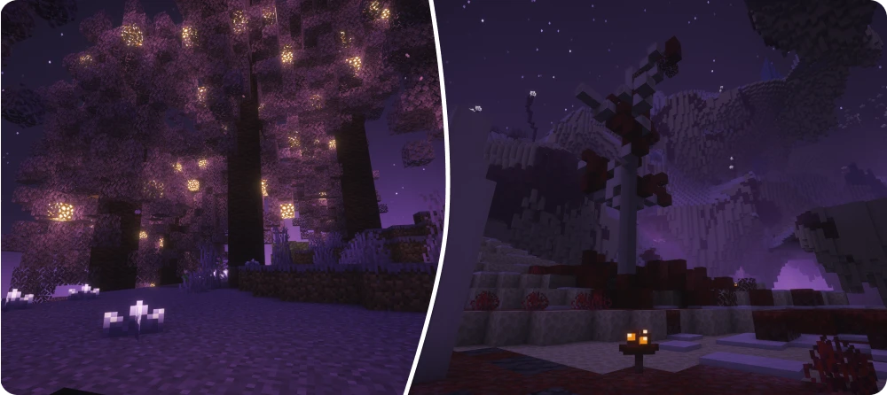Biomes