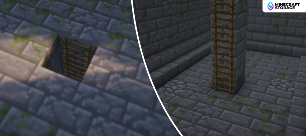 The Ladder