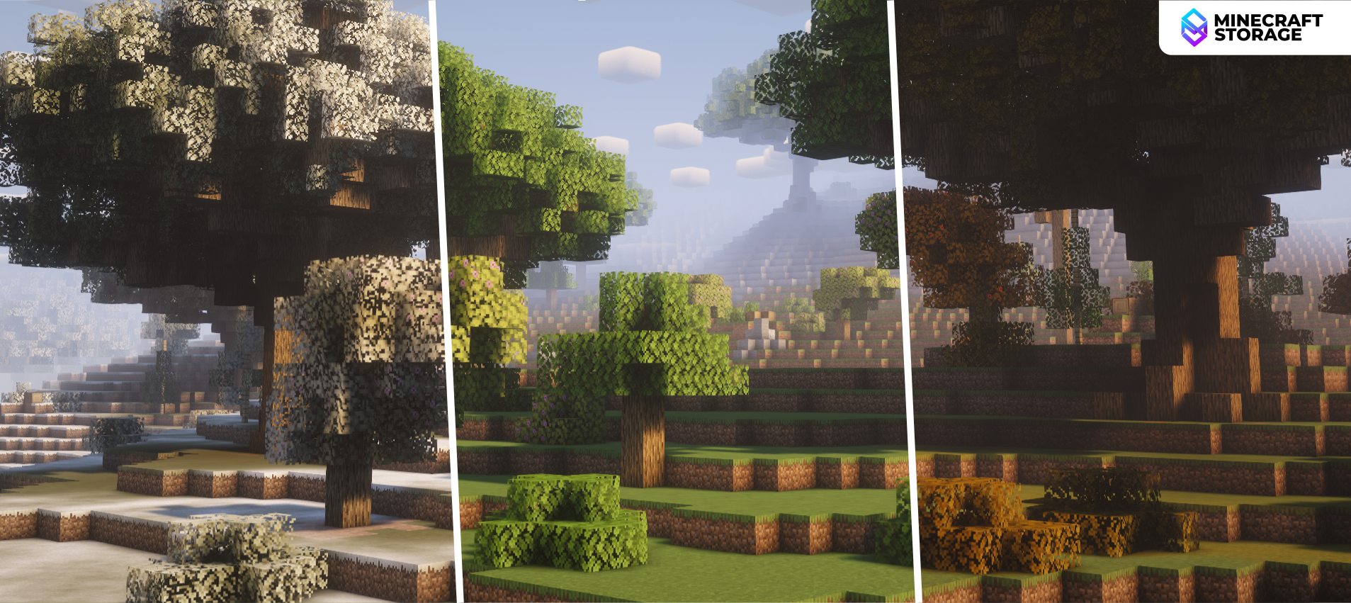 Four Different Seasons